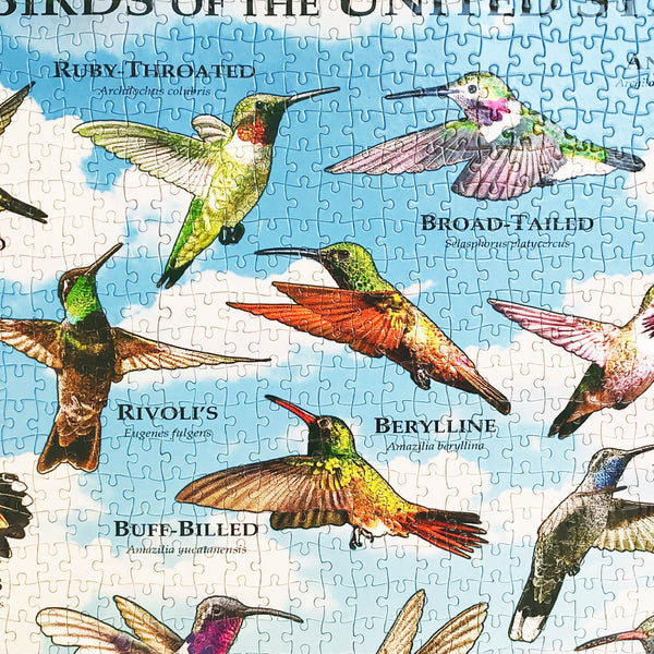 Hummingbird of The United States Puzzle 1000 Piece - Collage Jigsaw Puzzles for Bird Lovers