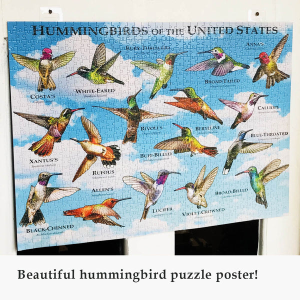 Hummingbird of The United States Puzzle 1000 Piece - Collage Jigsaw Puzzles for Bird Lovers