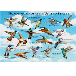 Hummingbird of The United States 300 Piece Puzzle